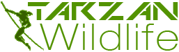Tarzan Wildlife